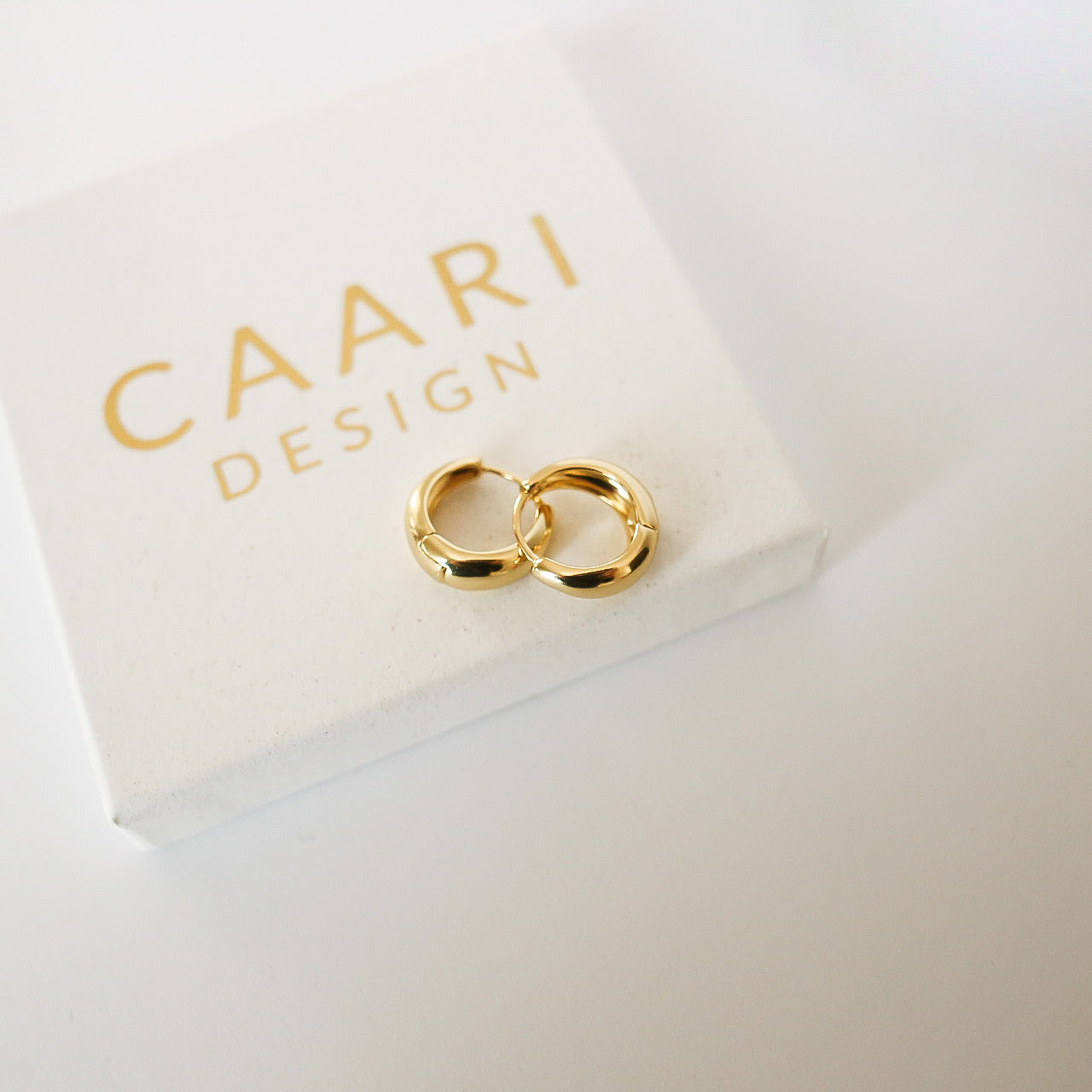 Kylie örhängen 18k guldfyllda