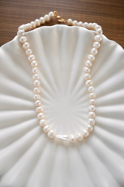 Coco Palma Kaulakoru