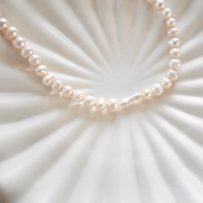 Coco Palma Kaulakoru